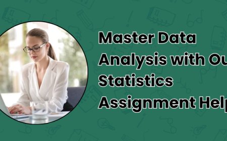 Master Data Analysis with Our Statistics Assignment Help