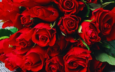 What Makes the Perfect Bouquet? A Guide to Choosing Flowers with Meaning