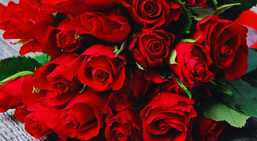 What Makes the Perfect Bouquet? A Guide to Choosing Flowers with Meaning