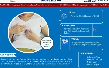 Gastroesophageal Reflux Disease (GERD) Device Poised for 3.24% CAGR Growth Through 2030