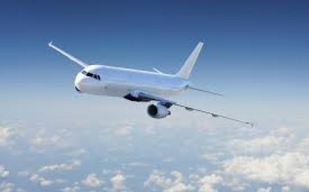 United Airlines Business Class online
