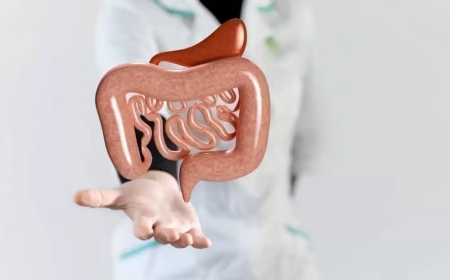 Why Expats Prefer Visiting a Best Gastro Doctor in Dubai for GI Health