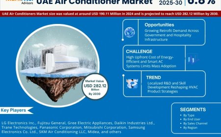 UAE Air Conditioner Industry Forecast: Key Players and Growth Analysis 2025-2030