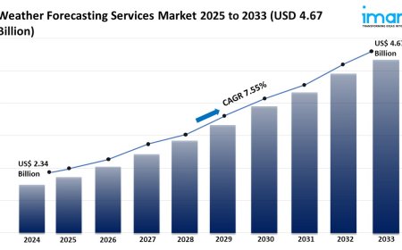 Weather Forecasting Services Market Report 2025 | Growth, & Forecast by 2033
