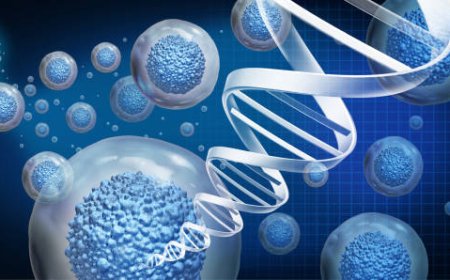 Cell & Gene Therapy Drug Delivery Devices Market Overview 2025–2030: Share, Size & Future Trends