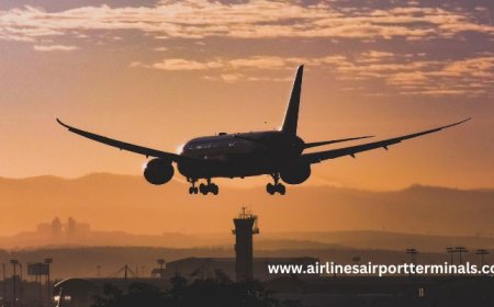 Flying with Spirit Airlines? Here's What to Expect at O'Hare Terminal