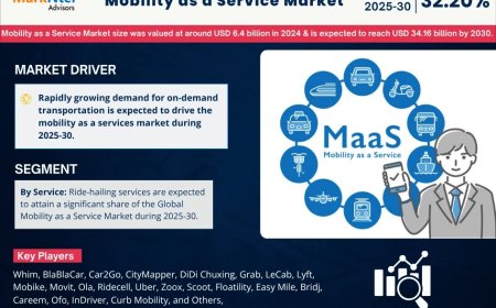 Mobility as a Service (MaaS) Market Overview 2025–2030: Share, Size & Future Trends