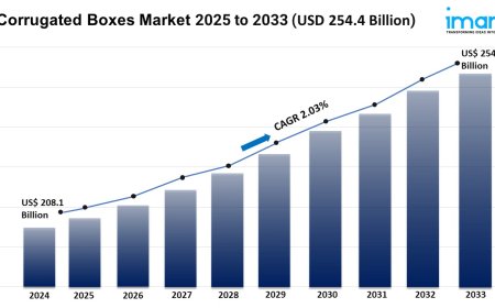 Corrugated Boxes Market 2025 | Share, Demand, and Forecast Till 2033