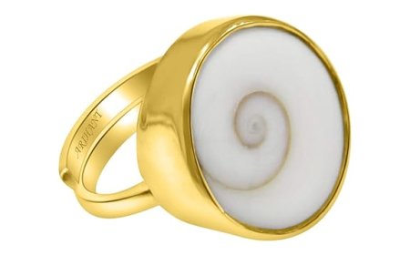 #1 in India for Gomti Chakra for Wealth and Protection