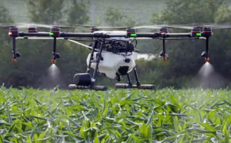 Agriculture Drone Spraying