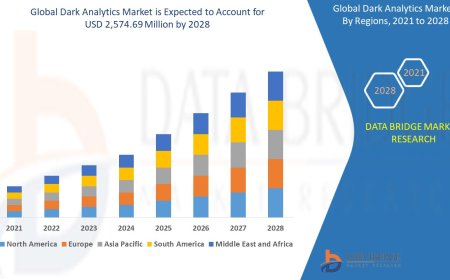 Dark Analytics Market: Trends and Growth Opportunities