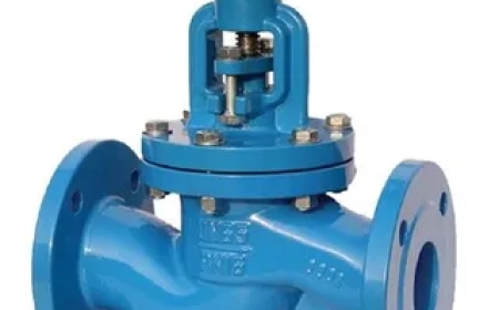 Working Principle, Operation, and Maintenance of Globe Valves