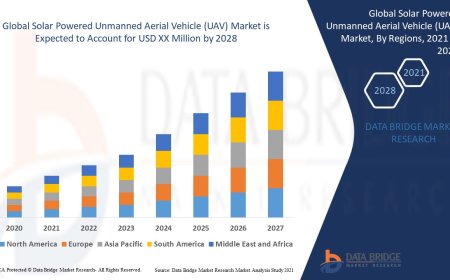 Solar Powered Unmanned Aerial Vehicle (UAV) Market: Insights and Competitive Analysis