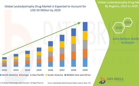 Leukodystrophy Drug Market Growth and Future Trends