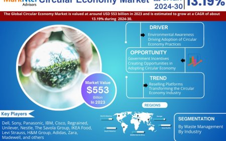 Circular Economy Market Overview 2024–2030: Share, Size & Future Trends