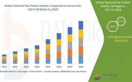 Textured Pea Protein Market: Insights and Competitive Analysis