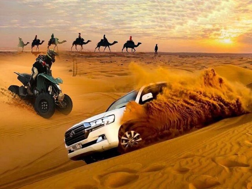 Explore the Best Hatta Tour Deals, Hatta Mountain Tour & Desert Safari Dubai Adventures