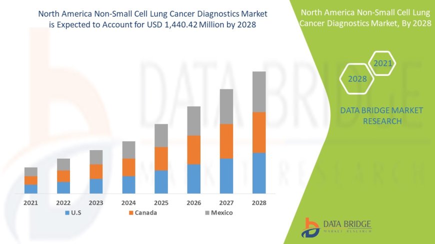 North America Non-Small Cell Lung Cancer Diagnostics Market Strengthens with Precision Medicine Developments