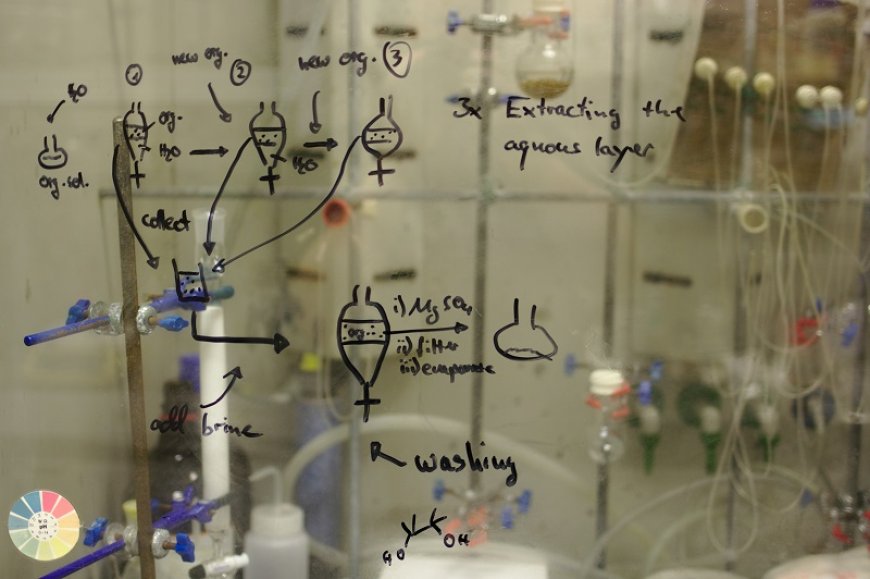 RNA-Protein Interaction Analysis: Advances in CLIP-Seq Technology and Applications