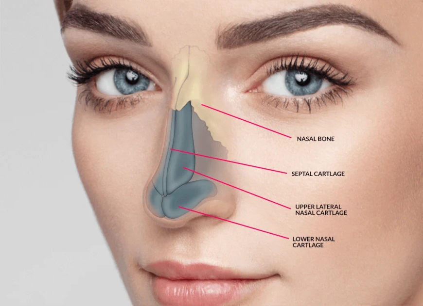 Understanding the Risks of the Rhinoplasty in Dubai