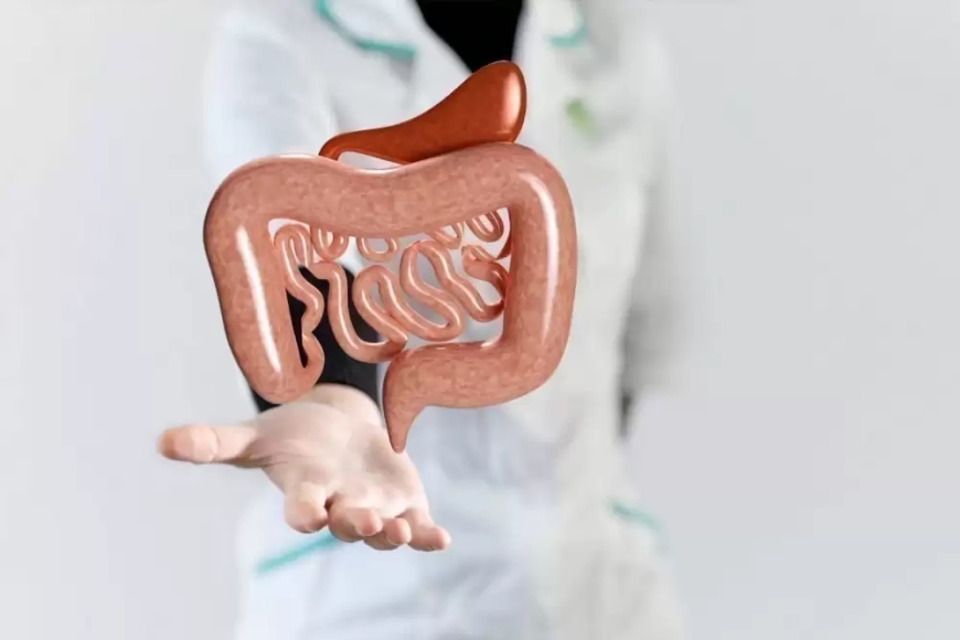 Why Expats Prefer Visiting a Best Gastro Doctor in Dubai for GI Health