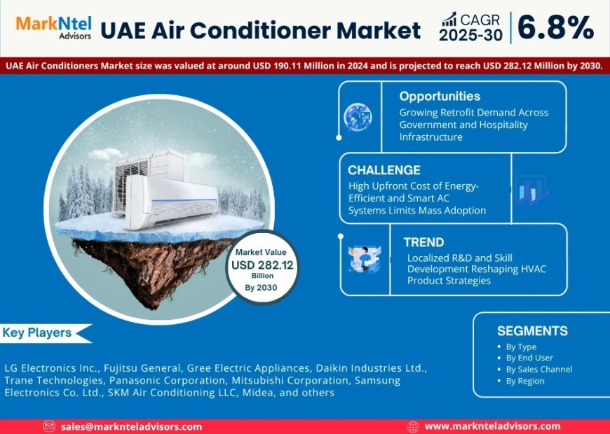 UAE Air Conditioner Industry Forecast: Key Players and Growth Analysis 2025-2030