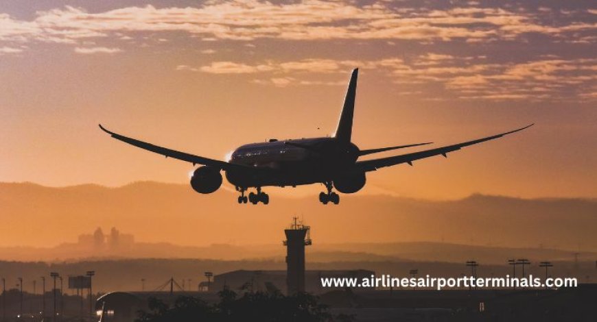 Flying with Spirit Airlines? Here's What to Expect at O'Hare Terminal