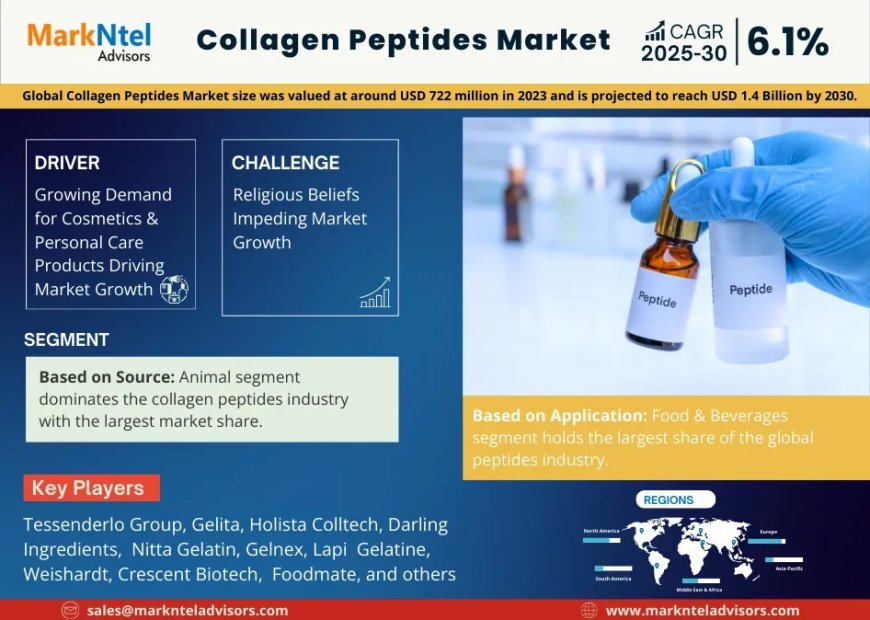 Collagen Peptides Market Overview 2025–2030: Share, Size & Future Trends