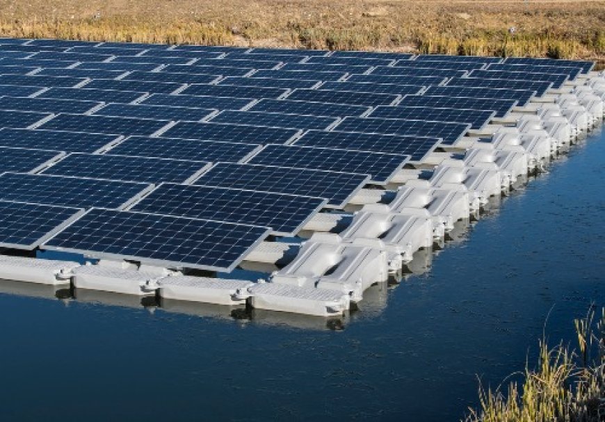 Floating Solar Market Overview 2025–2030: Share, Size & Future Trends
