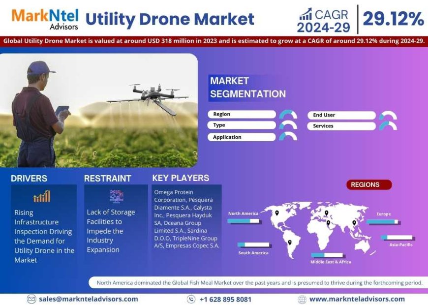 Utility Drone Industry Forecast 2024–2029: Trends, Value & Analysis