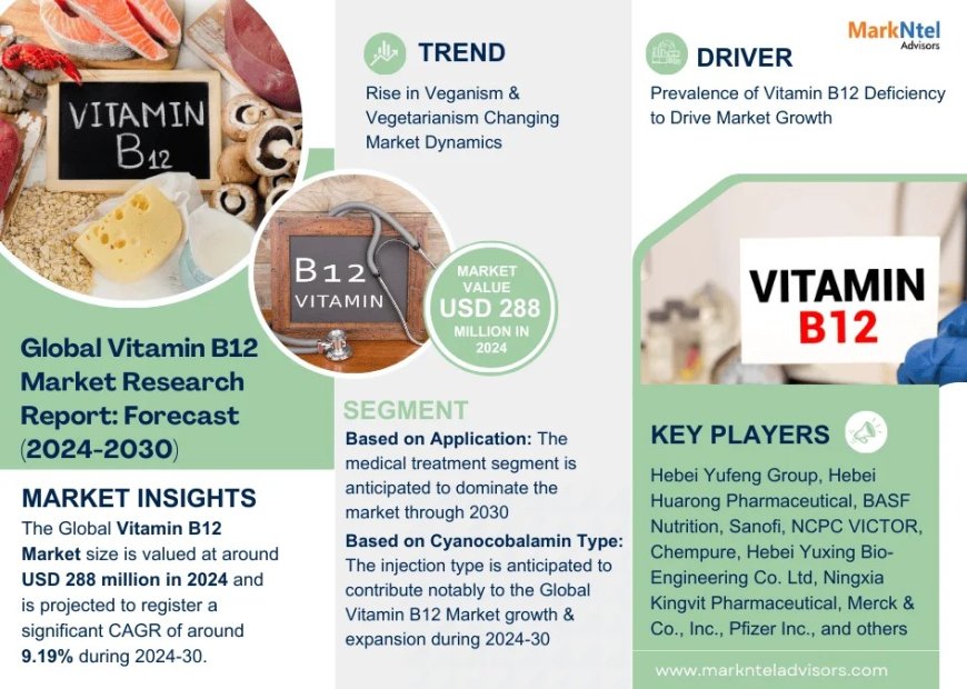 Vitamin B12 Market Overview 2024–2030: Share, Size & Future Trends