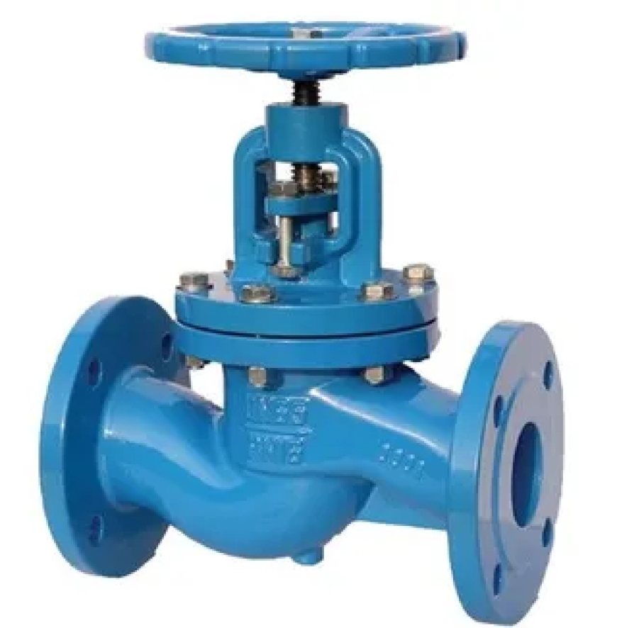 Working Principle, Operation, and Maintenance of Globe Valves