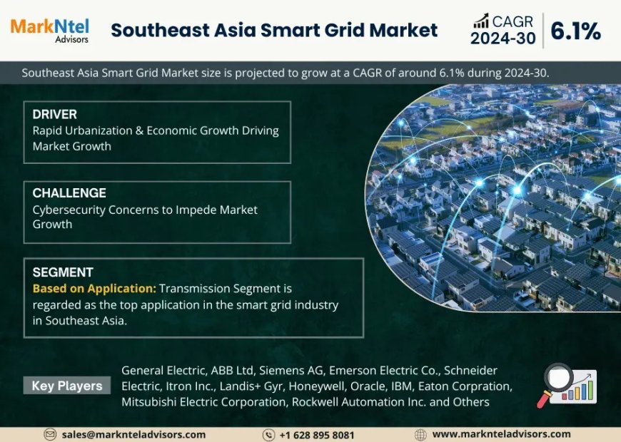 Southeast Asia Smart Grid Market Overview 2024–2030: Share, Size & Future Trends